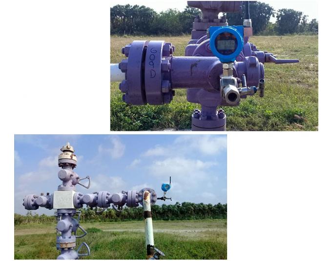 RPT243 Батарейный датчик давления с LCD дисплеем с низким потреблением 2